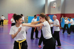 stage-krav-maga-janvier-2018-4839