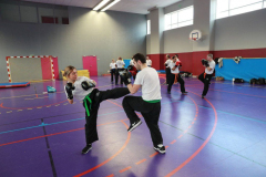 stage-krav-maga-janvier-2018-4934