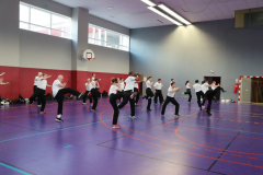stage-krav-maga-janvier-2018-4975