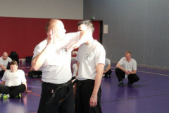 stage-krav-maga-janvier-2018-4994
