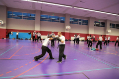 stage-krav-maga-janvier-2018-5050