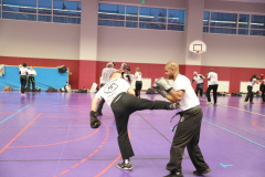 stage-krav-maga-janvier-2018-5127