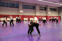 stage-krav-maga-janvier-2018-5406