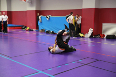 stage-krav-maga-janvier-2018-5593