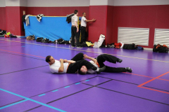 stage-krav-maga-janvier-2018-5599