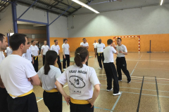 stage-krav-maga-mai-2015-00807