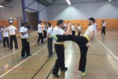 stage-krav-maga-mai-2015-00810
