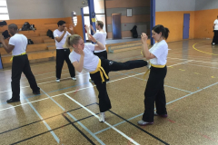 stage-krav-maga-mai-2015-00813