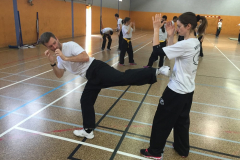 stage-krav-maga-mai-2015-00814