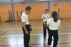 stage-krav-maga-mai-2015-00815