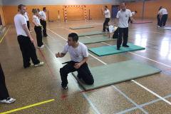 stage-krav-maga-mai-2015-00821