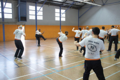stage-krav-maga-mai-2015-00823