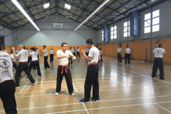 stage-krav-maga-mai-2015-00825