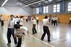 stage-krav-maga-mai-2015-00826