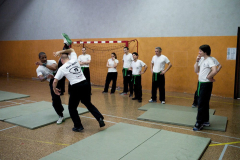 stage-krav-maga-mai-2015-00827