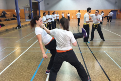 stage-krav-maga-mai-2015-00834