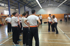 stage-krav-maga-mai-2015-00840