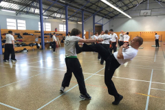 stage-krav-maga-mai-2015-00843