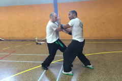 stage-krav-maga-mai-2015-00845