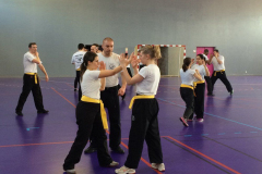 stage-krav-maga-mars-2015-00704