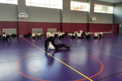 stage-krav-maga-mars-2015-00706