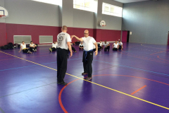 stage-krav-maga-mars-2015-00708