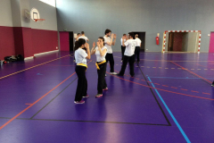 stage-krav-maga-mars-2015-00709
