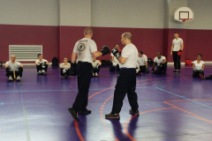 stage-krav-maga-mars-2015-00712