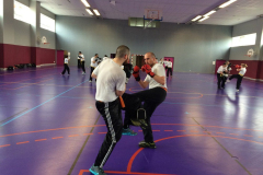 stage-krav-maga-mars-2015-00714