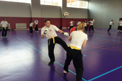stage-krav-maga-mars-2015-00715