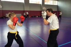 stage-krav-maga-mars-2015-00716