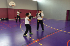 stage-krav-maga-mars-2015-00717