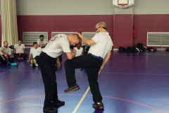 stage-krav-maga-mars-2015-00725
