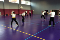 stage-krav-maga-mars-2015-00726