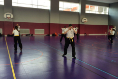 stage-krav-maga-mars-2015-00727
