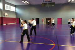 stage-krav-maga-mars-2015-00728