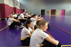 stage-krav-maga-mars-2015-00730
