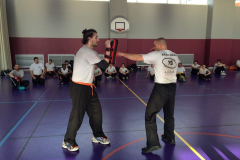 stage-krav-maga-mars-2015-00731