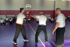 stage-krav-maga-mars-2015-00732