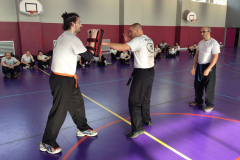 stage-krav-maga-mars-2015-00733